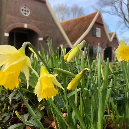 住宿加早餐酒店 Koning Te Rijk Eibergen