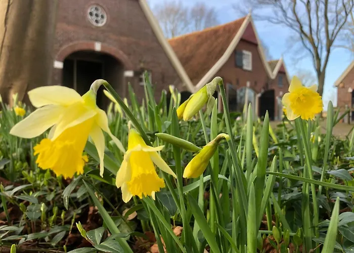 Bed & Breakfast Koning Te Rijk Eibergen