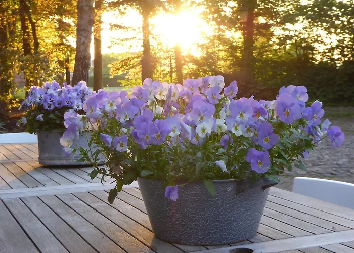 Koning Te Rijk Eibergen