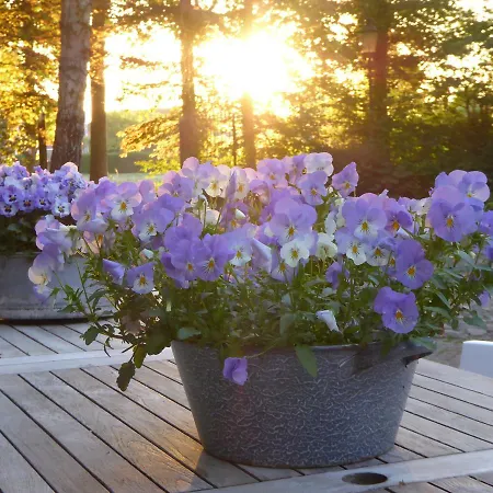 Koning Te Rijk Eibergen